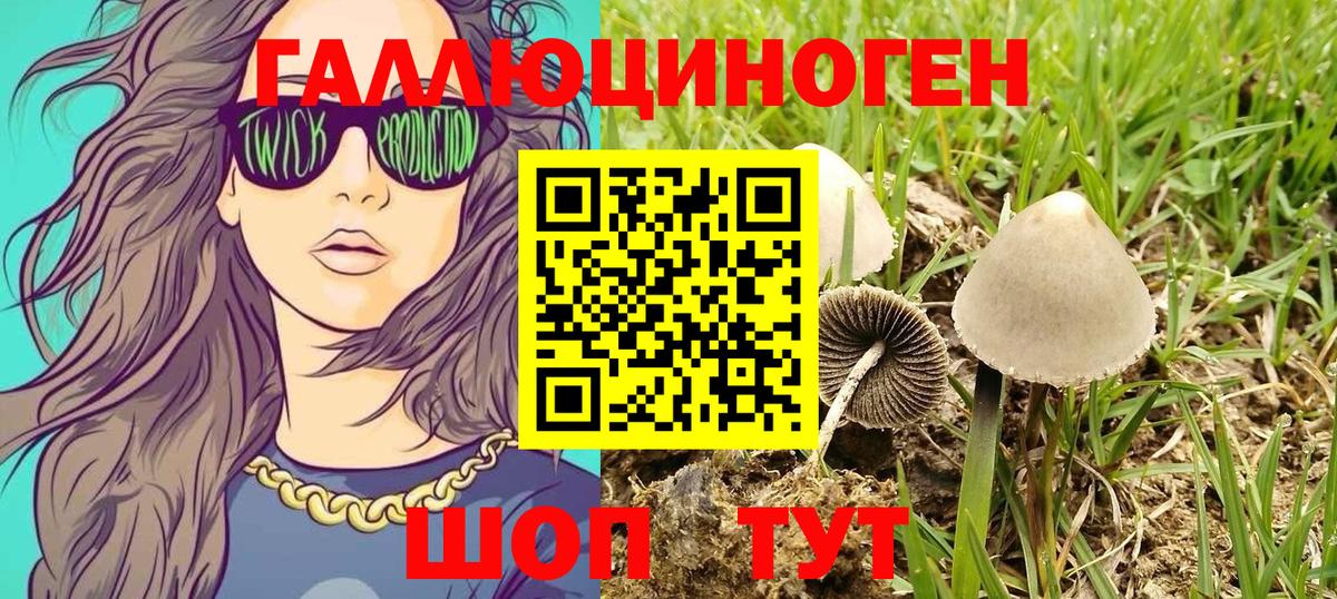 купить наркотик  Вход с VPN  Гусь-Хрустальный  Галлюциногенные грибы Psilocybe 